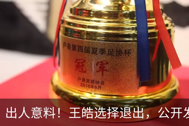 出人意料！王皓选择退出，公开发声回应，乒协批准这项意外决定