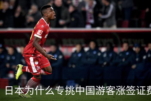 日本为什么专挑中国游客涨签证费