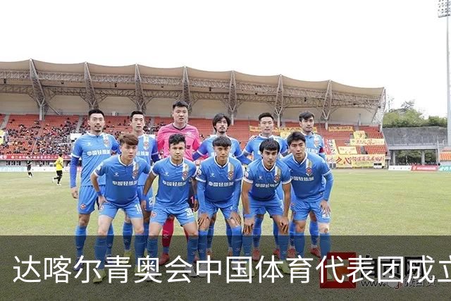 达喀尔青奥会中国体育代表团成立-国际在线